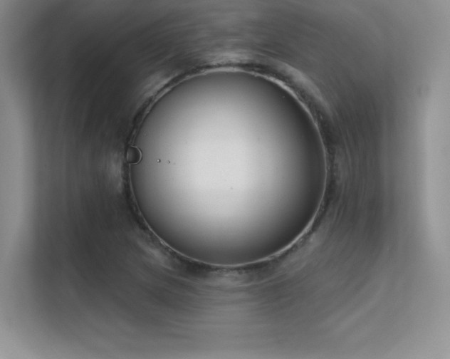 X0000112391217200908131542