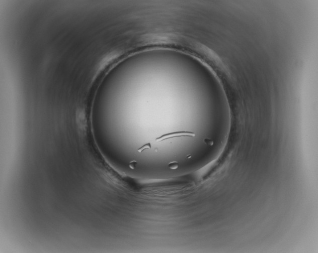 X0000112391218200908131542