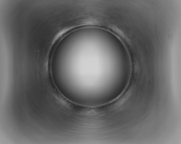 X0000112391222200908131542