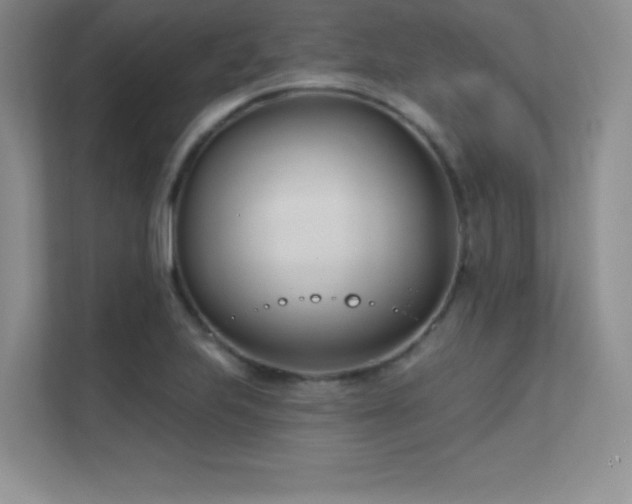 X0000112391223200908131542