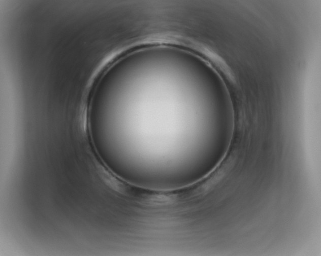 X0000112391224200908131542