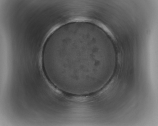 X0000112391229200908131542