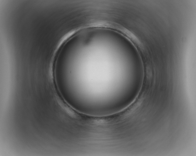 X0000112391230200908131542