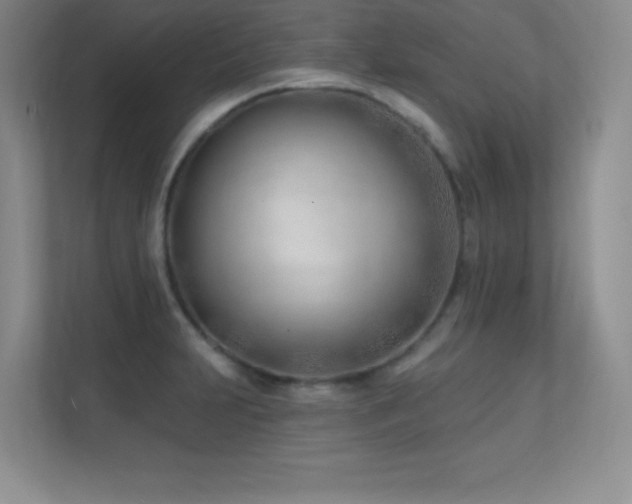 X0000112391231200908131542