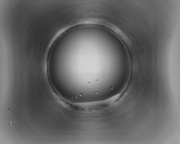 X0000112391232200908131542