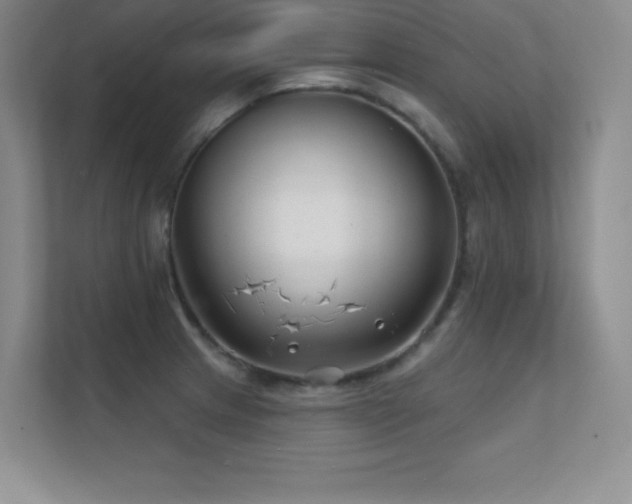 X0000112391233200908131542