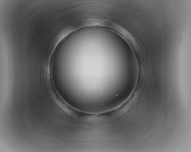 X0000112391234200908131542