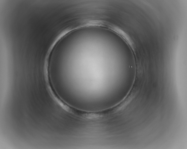 X0000112391235200908131542