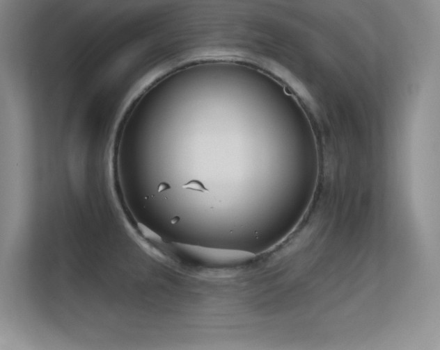 X0000112391237200908131542