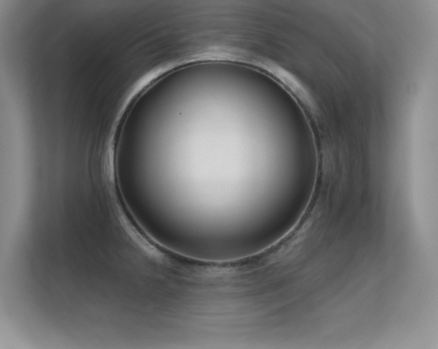 X0000112391238200908131542