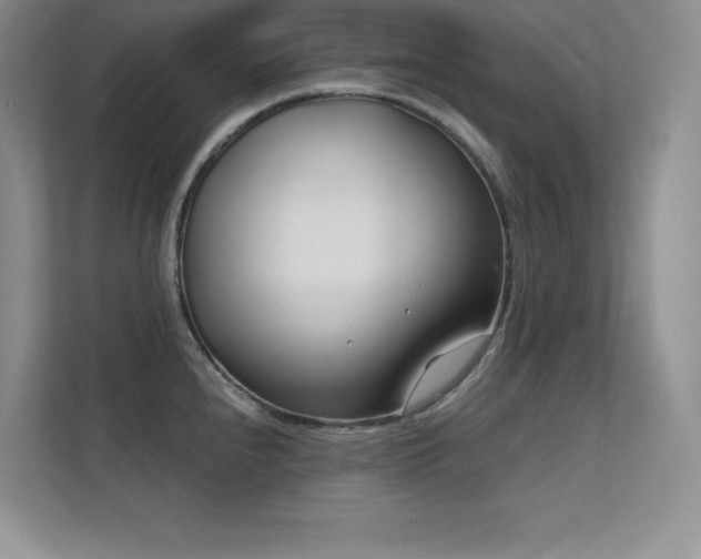 X0000112391240200908131542