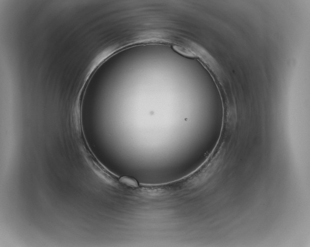 X0000112391242200908131542