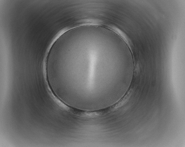 X0000112391243200908131542