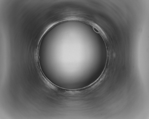 X0000112391244200908131542