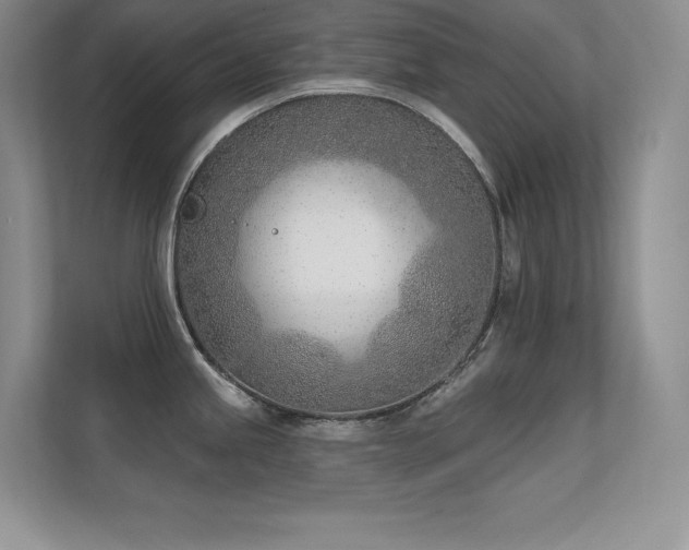 X0000112391245200908131542