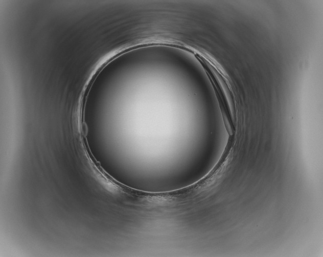 X0000112391246200908131542