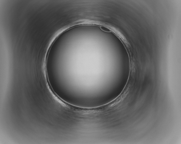 X0000112391247200908131542