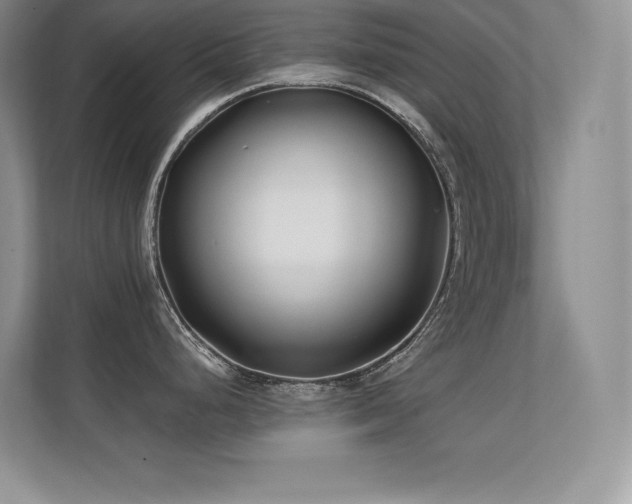 X0000112391248200908131543