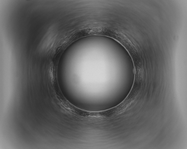 X0000112391250200908131542