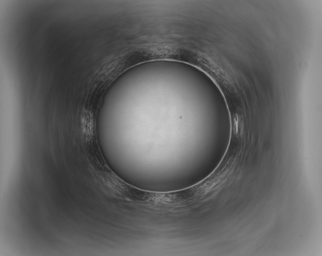 X0000112391251200908131542