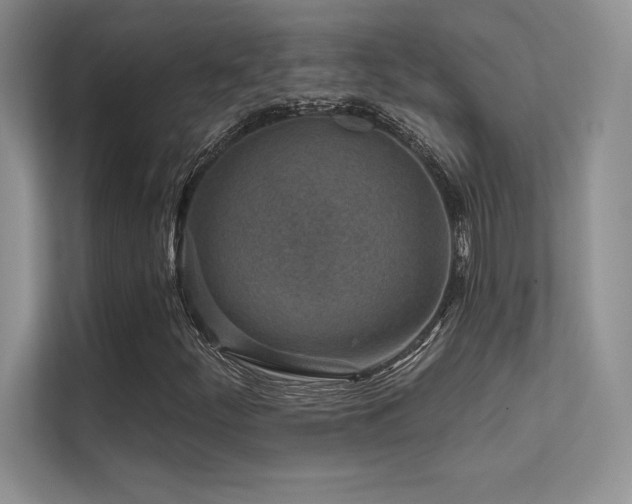 X0000112391252200908131542