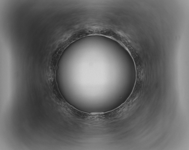 X0000112391253200908131542