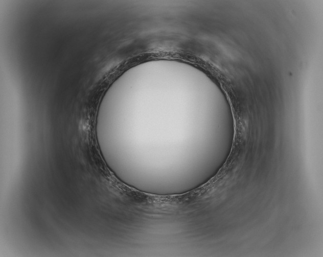 X0000112391254200908131542