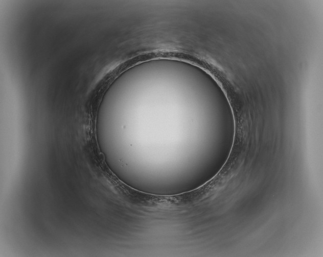 X0000112391255200908131542