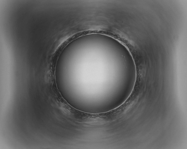 X0000112391256200908131542