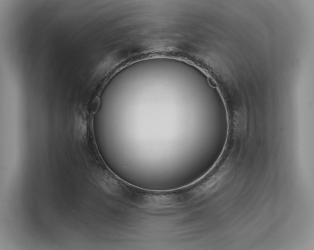 X0000112391257200908131542