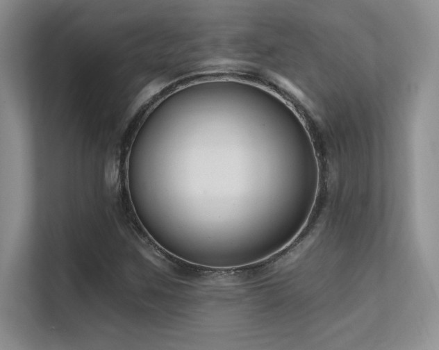 X0000112391259200908131542