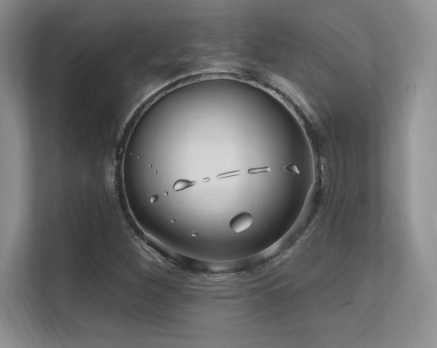 X0000112391260200908131542