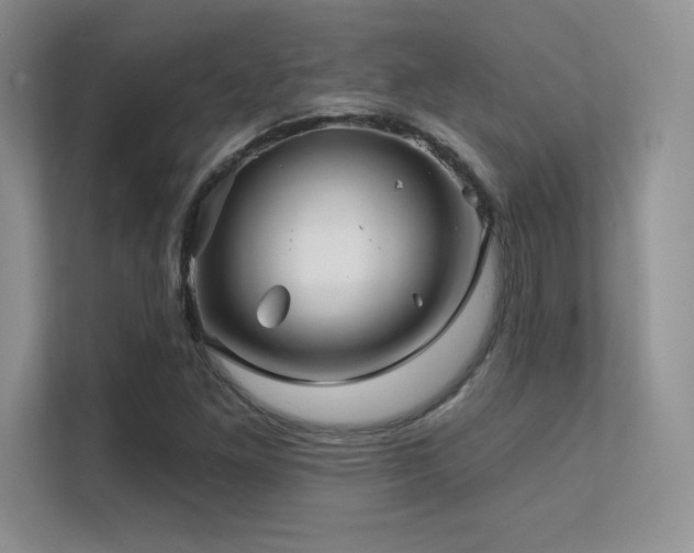 X0000112391261200908131542