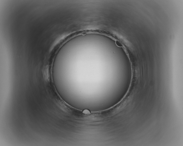 X0000112391262200908131542