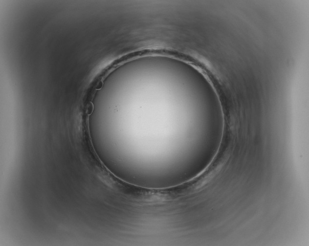 X0000112391263200908131542