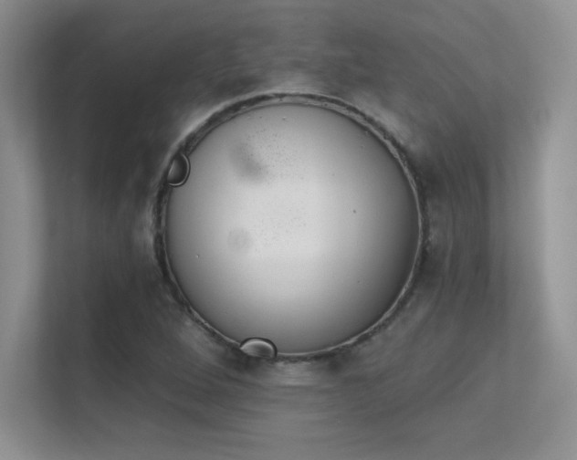 X0000112391264200908131542