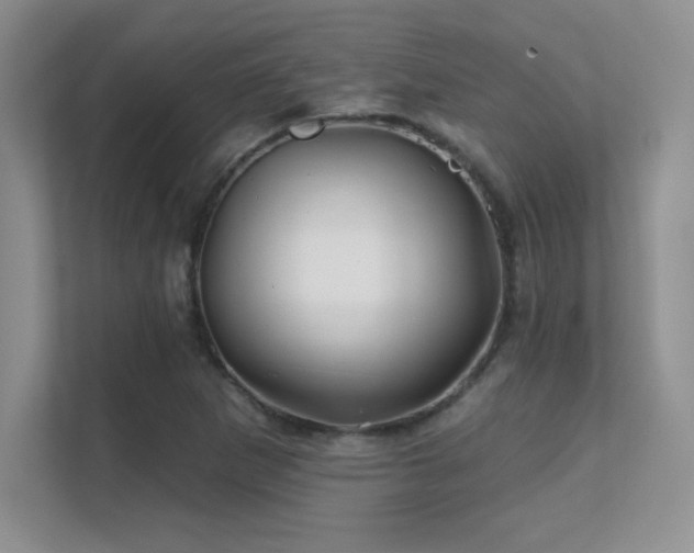 X0000112391265200908131542