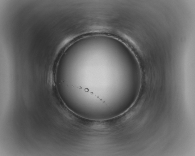 X0000112391267200908131542