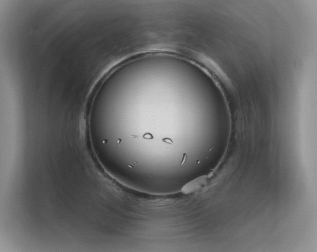 X0000112391268200908131542