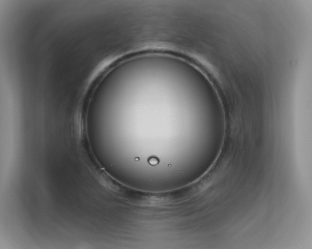 X0000112391271200908131542