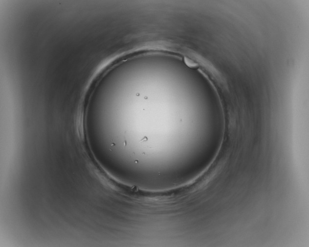 X0000112391272200908131542