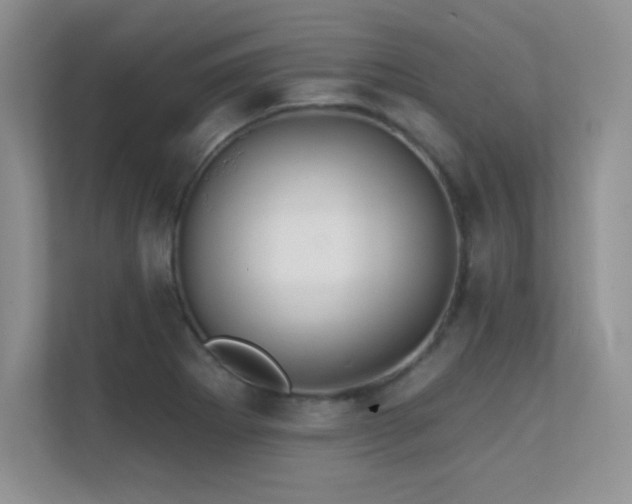 X0000112391273200908131542