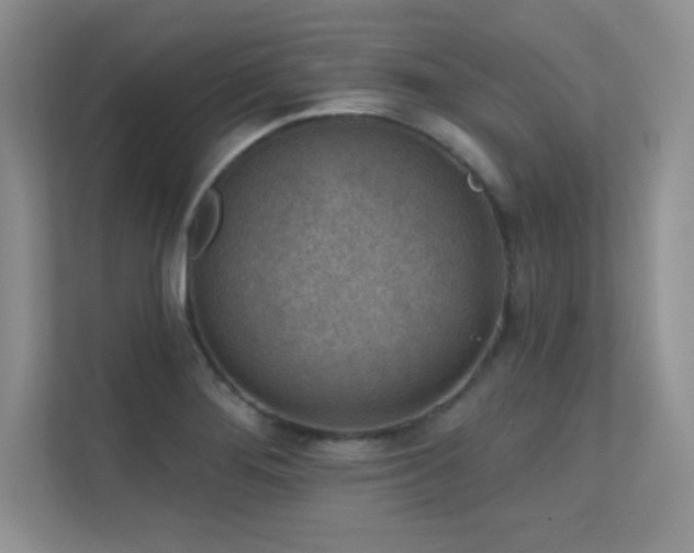 X0000112391276200908131542