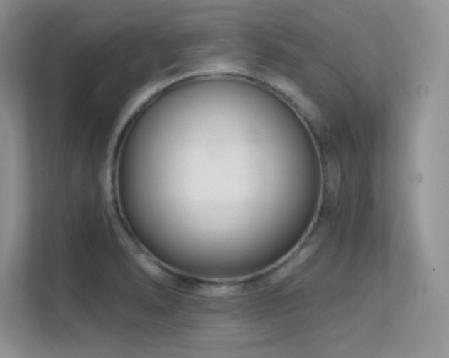 X0000112391278200908131542