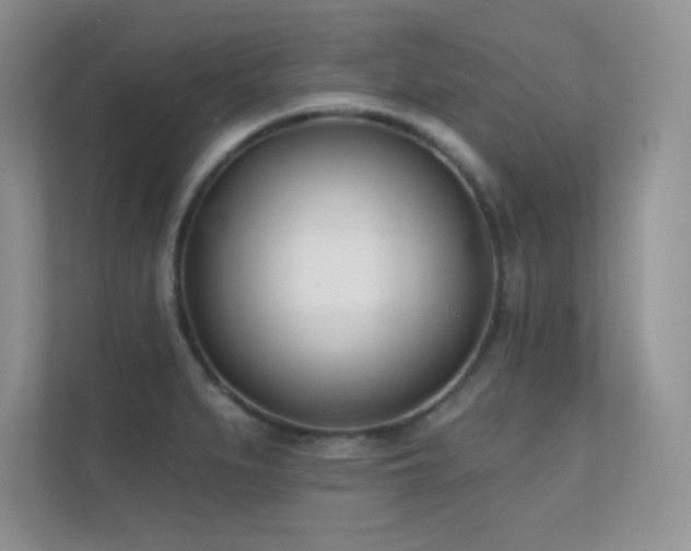 X0000112391279200908131541