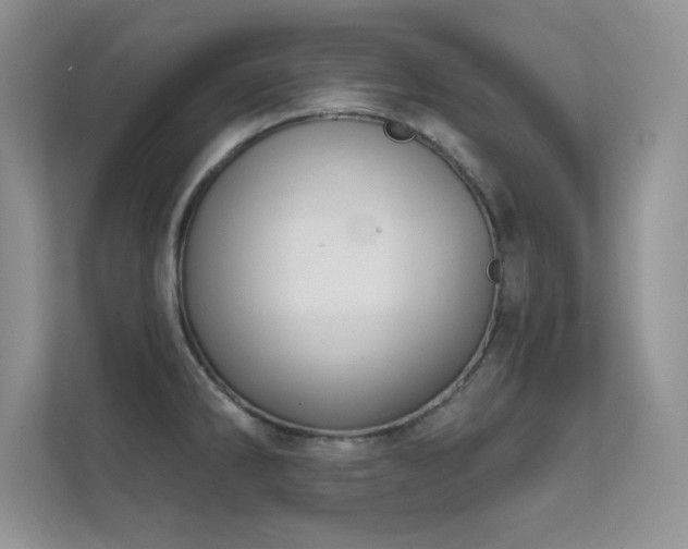 X0000112391286200908131541