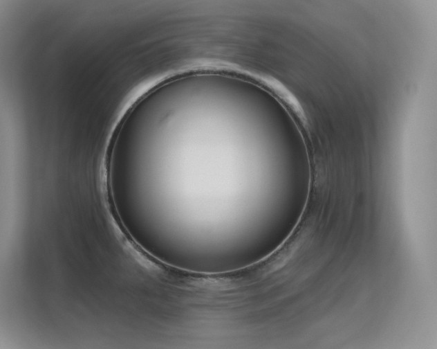 X0000112391287200908131541