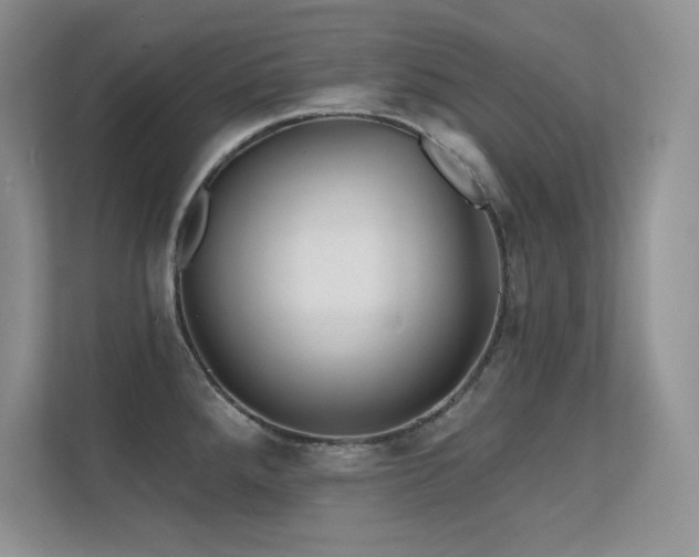 X0000112391288200908131541