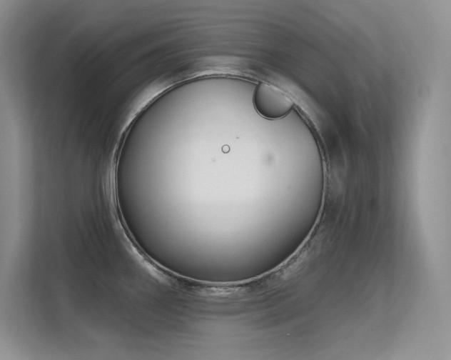 X0000112391290200908131541