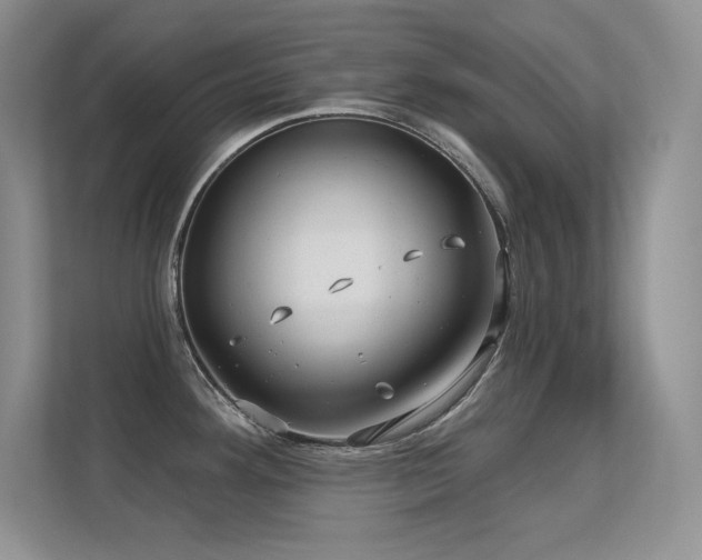 X0000112391292200908131541